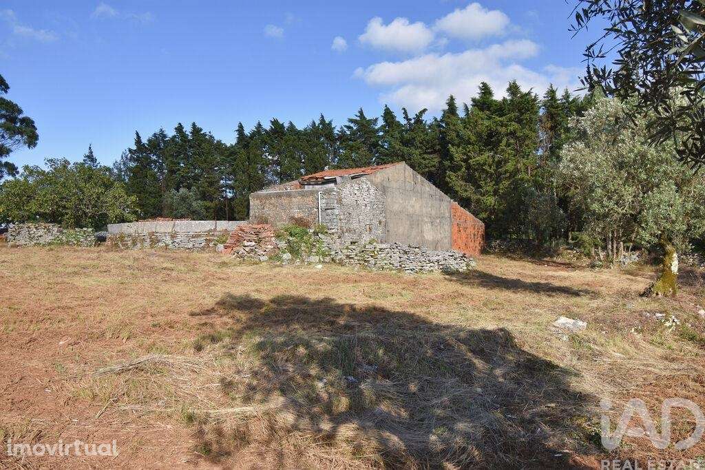 Terreno em Condeixa-a-Velha e Condeixa-a-Nova - Grande imagem: 3/27