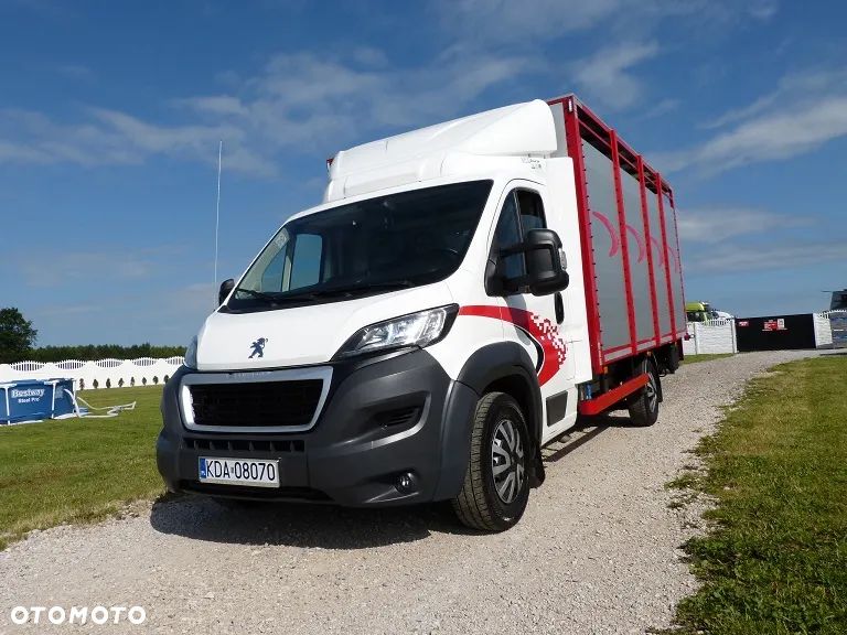 Peugeot BOXER DO ŻYWCA / ZWIERZĄT / BYDŁA / TRZODY CHLEWNEJ / EURO 6 / KAT. B / STAN PERFECT - 12