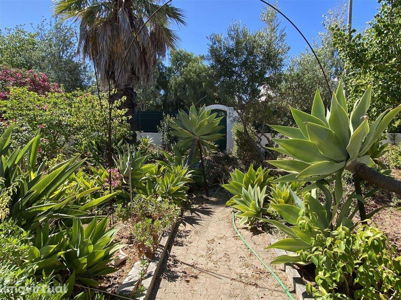 Uma Propriedade Inigualável em Alvor: Moradia T3 + 3 Apartamentos Inde - Grande imagem: 4/55