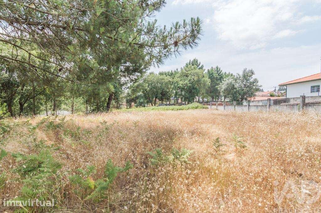Terreno Agrícola em Marinha Grande - Grande imagem: 3/5