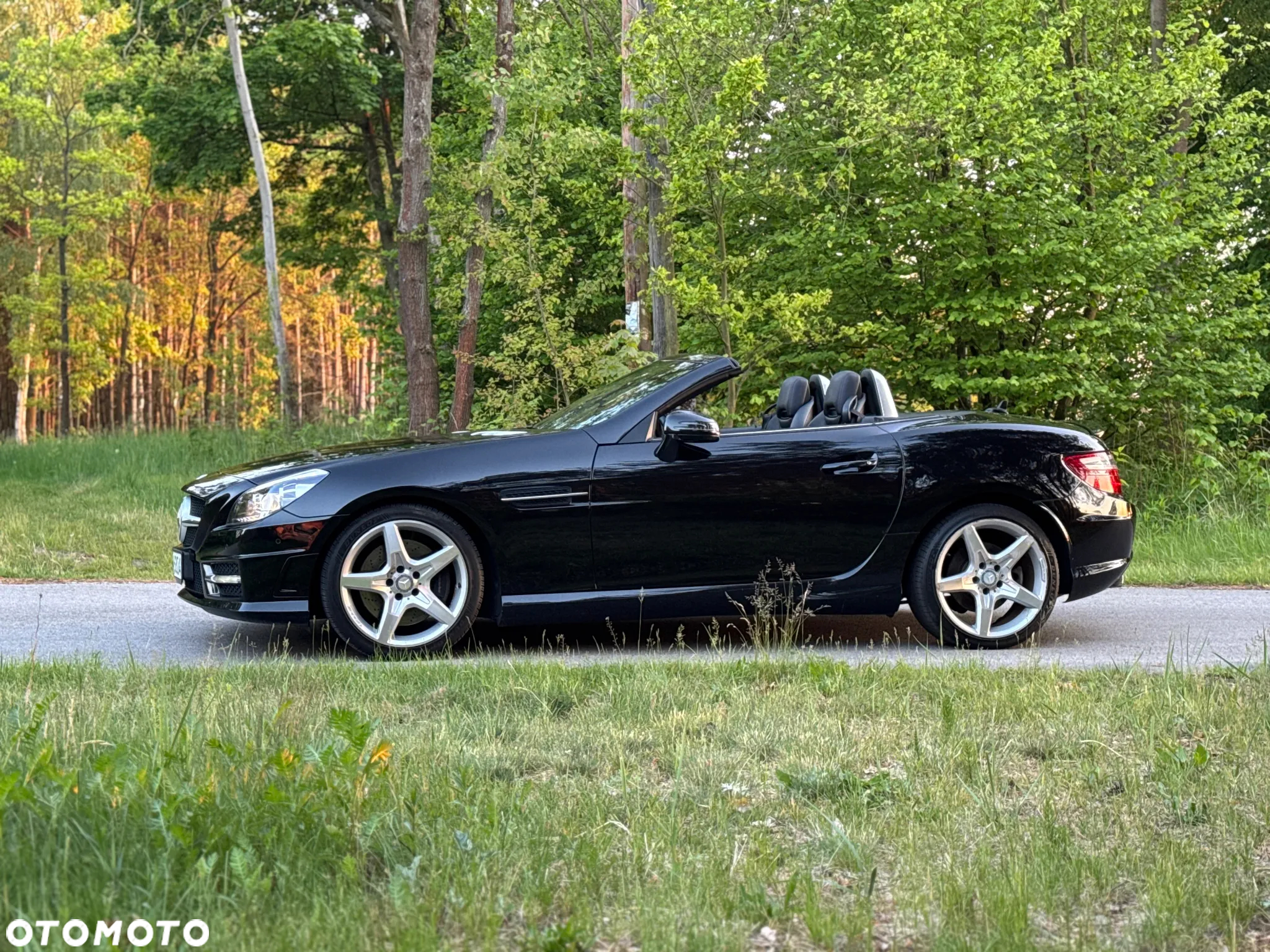 Mercedes-Benz SLK 200 BlueEFFICIENCY Edition 1 - 16