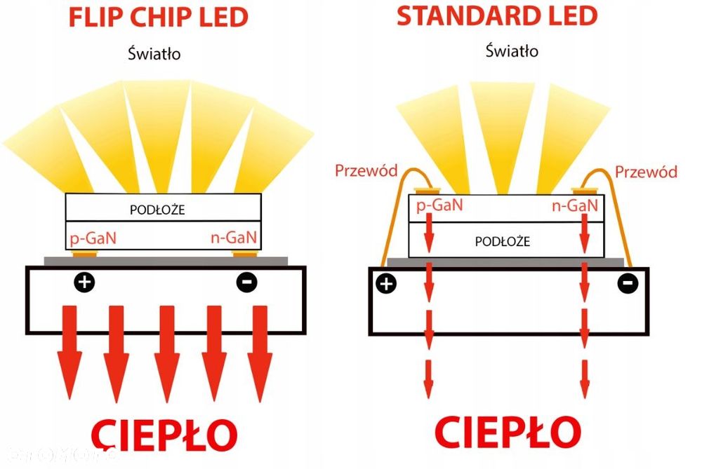 ŻARÓWKI H1 LED FLIP CHIP 6000K 12/24V CANBUS KPL - 5