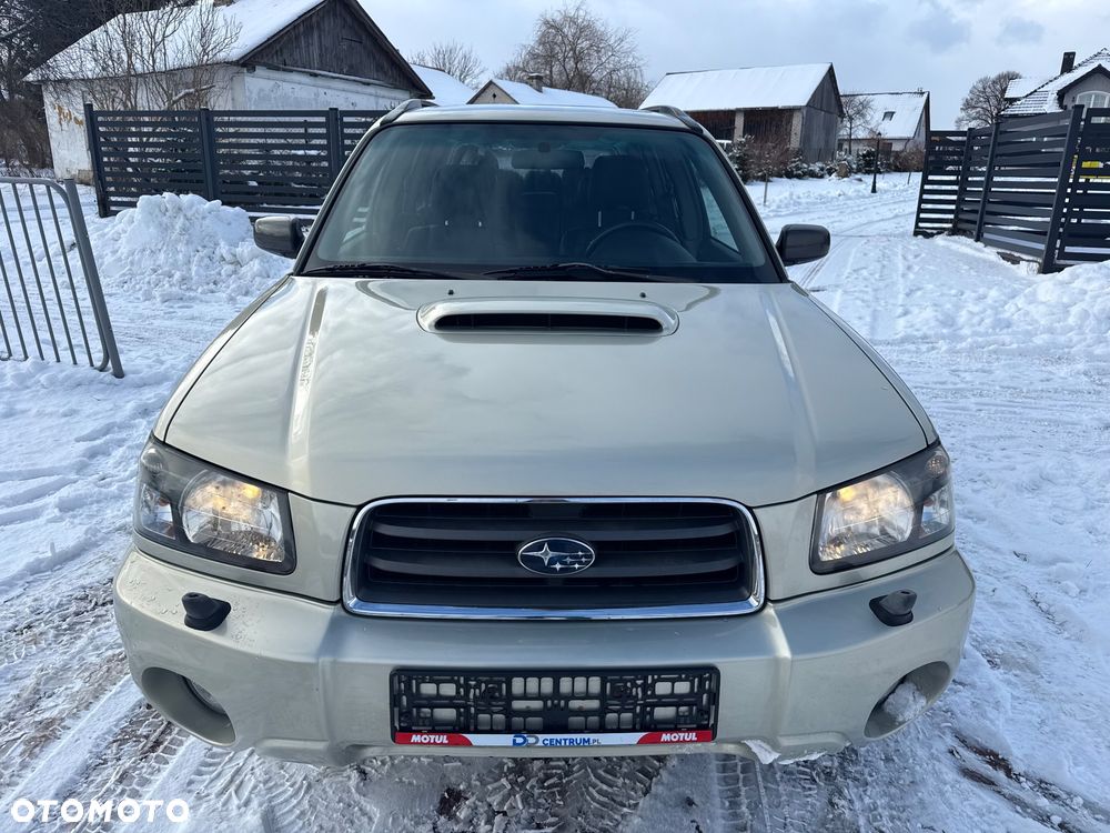 Subaru Forester - 19