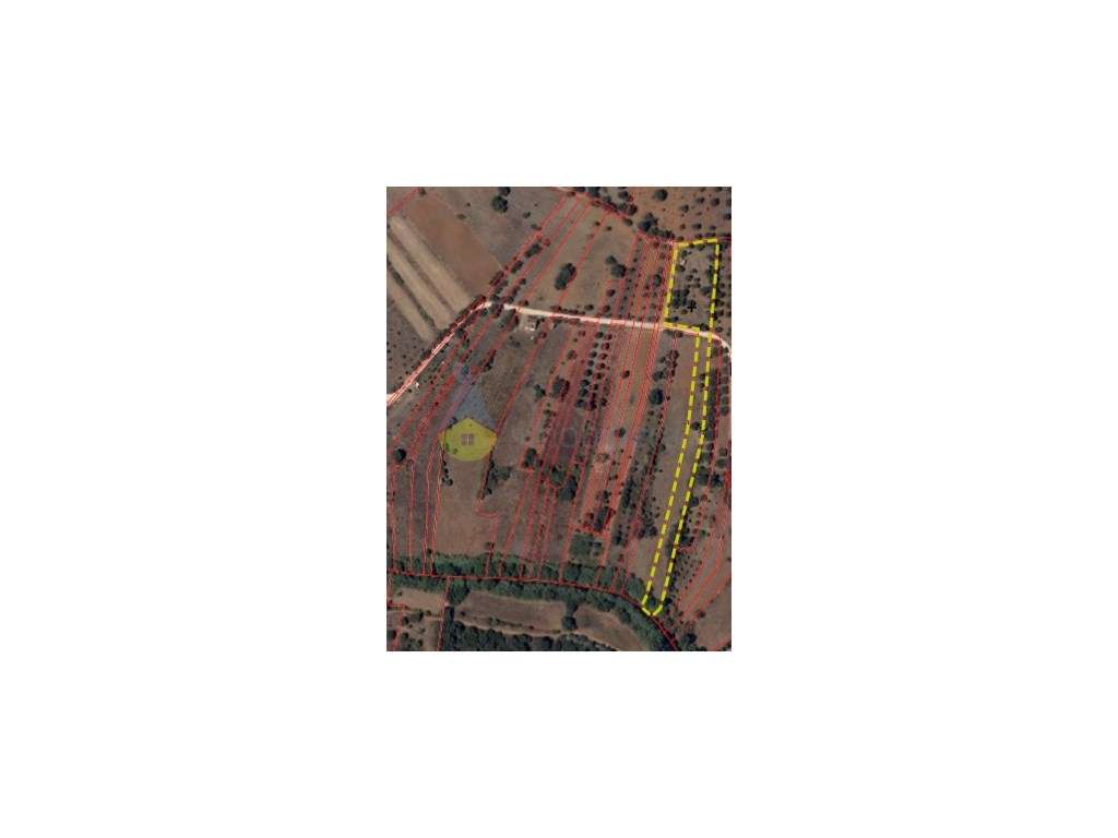 TERRENO MISTO COM RUÍNA E POÇO JUNTO À RIBEIRA DE PADERNE - Grande imagem: 2/27