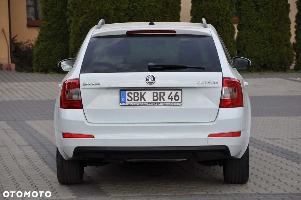 Skoda Octavia 1.6 TDI Edition - 13