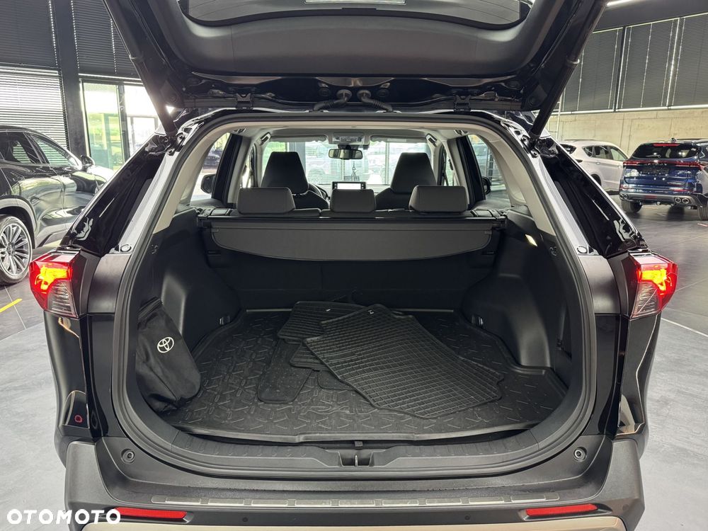 Toyota RAV4 - 19