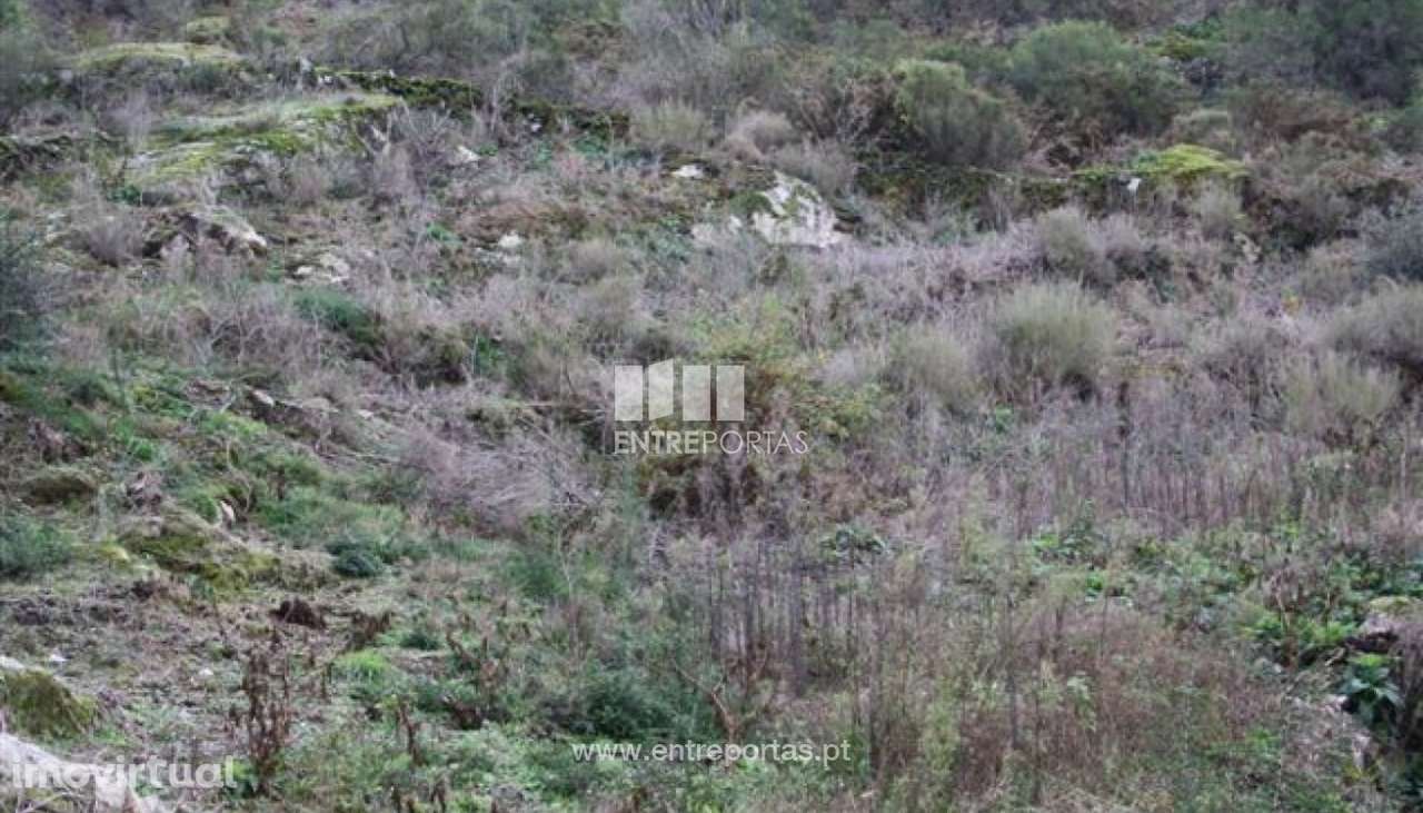 Terreno para venda, Azevedo, Caminha - Grande imagem: 2/6