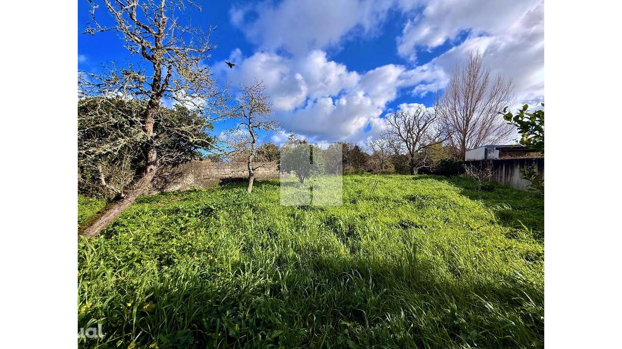 Moradia Senhorial T6 - Grande imagem: 5/49