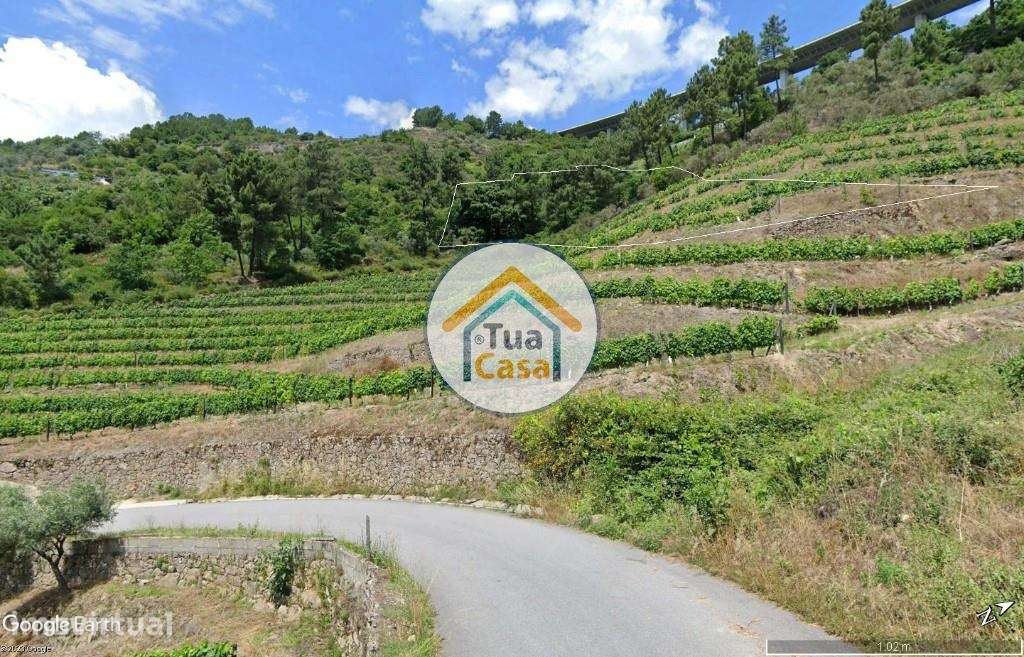 Terreno Rústico/Urbano com Casa em Ruínas – Parada de Cunhos- Vila Rea - Grande imagem: 2/40