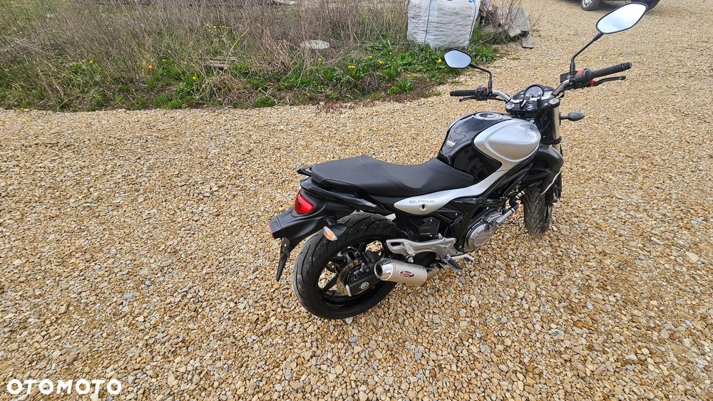 Suzuki Gladius - 7