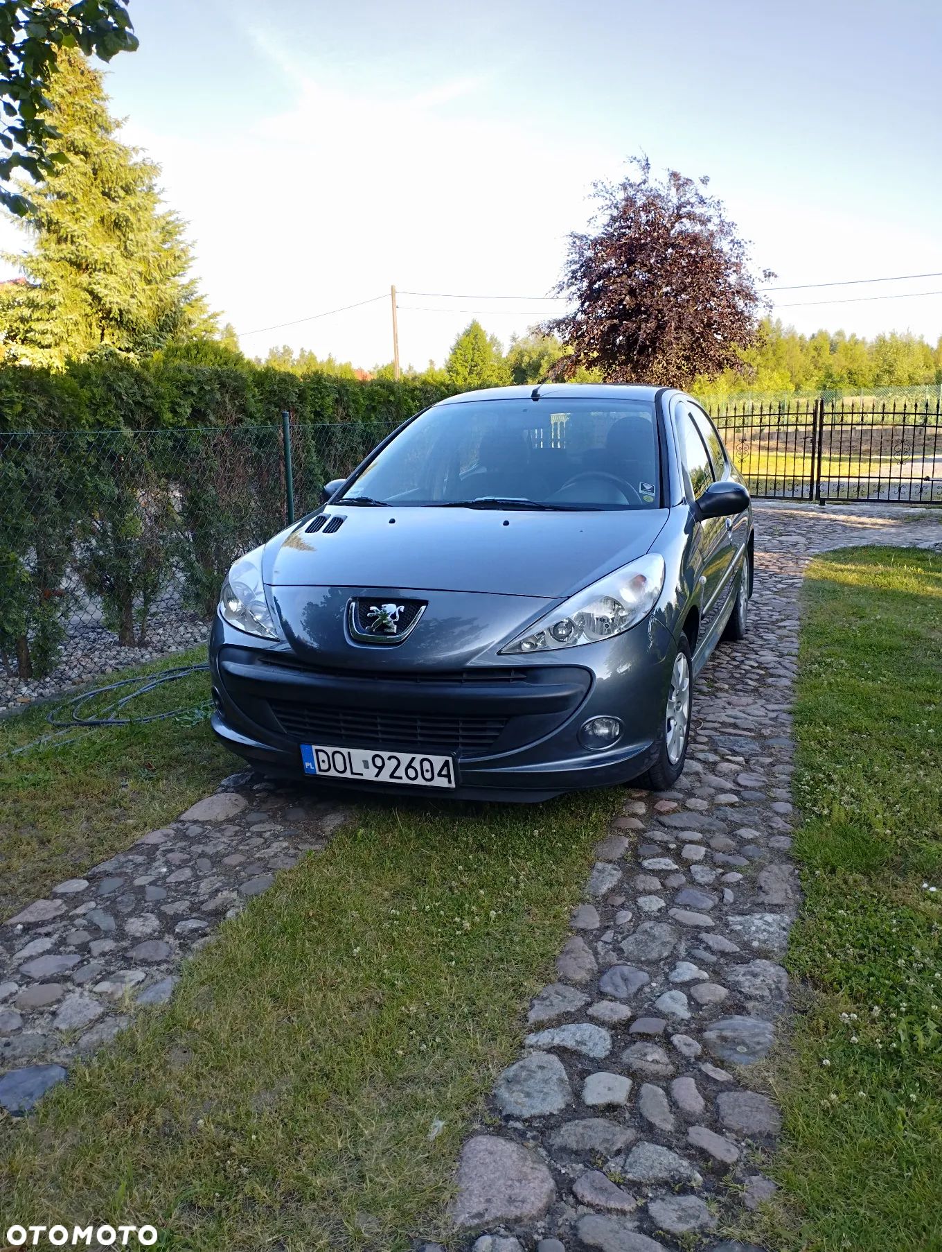 Peugeot 206 - 1
