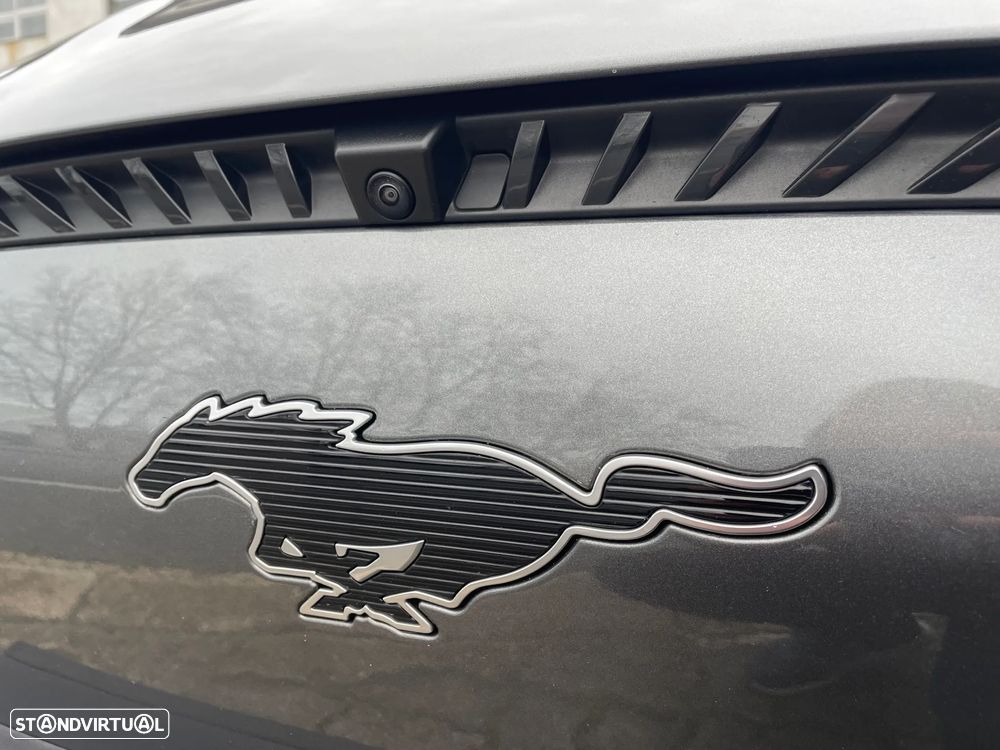 Ford Mustang Mach-E Standard - 18