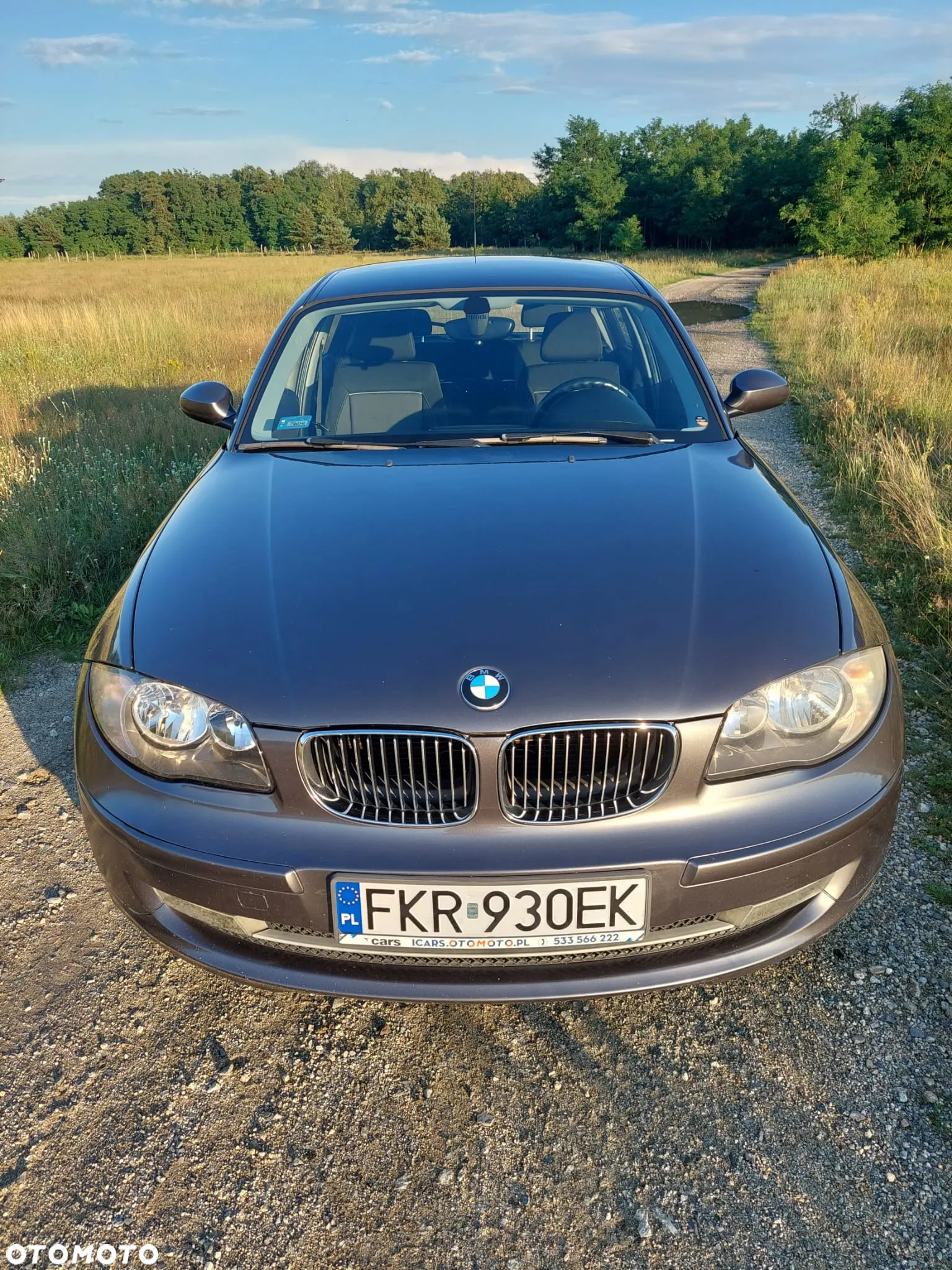 BMW Seria 1 116i - 2