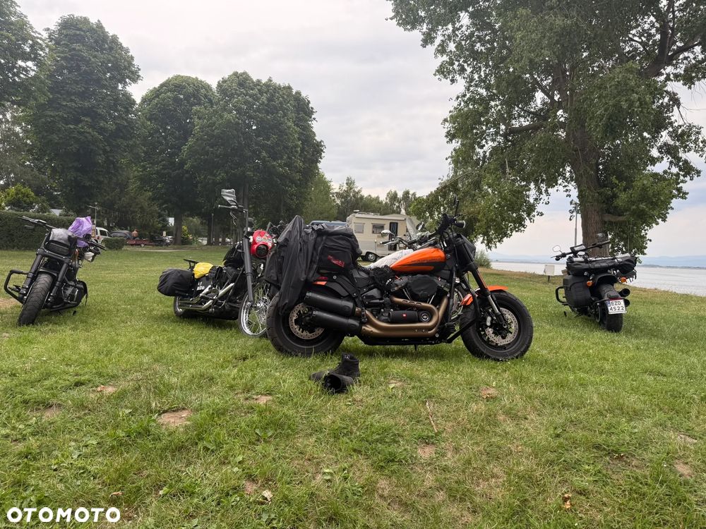 Harley-Davidson Softail Fat Bob - 5