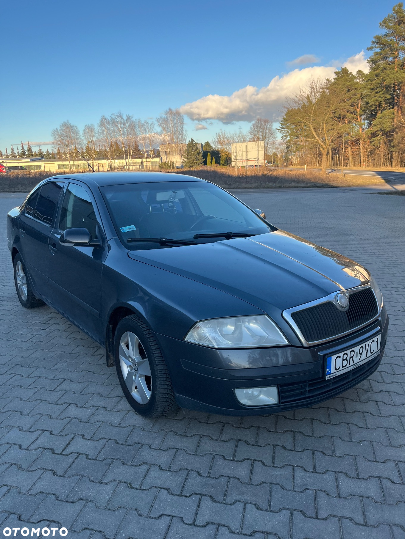 Skoda Octavia 1.9 TDI Classic - 6