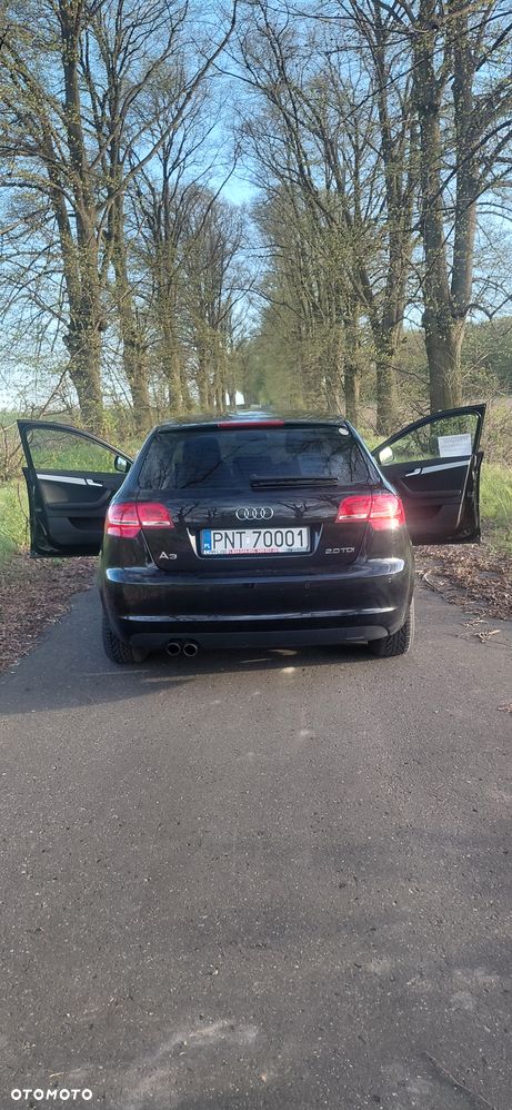 Audi A3 Sportback 2.0 TDI DPF Attraction - 13