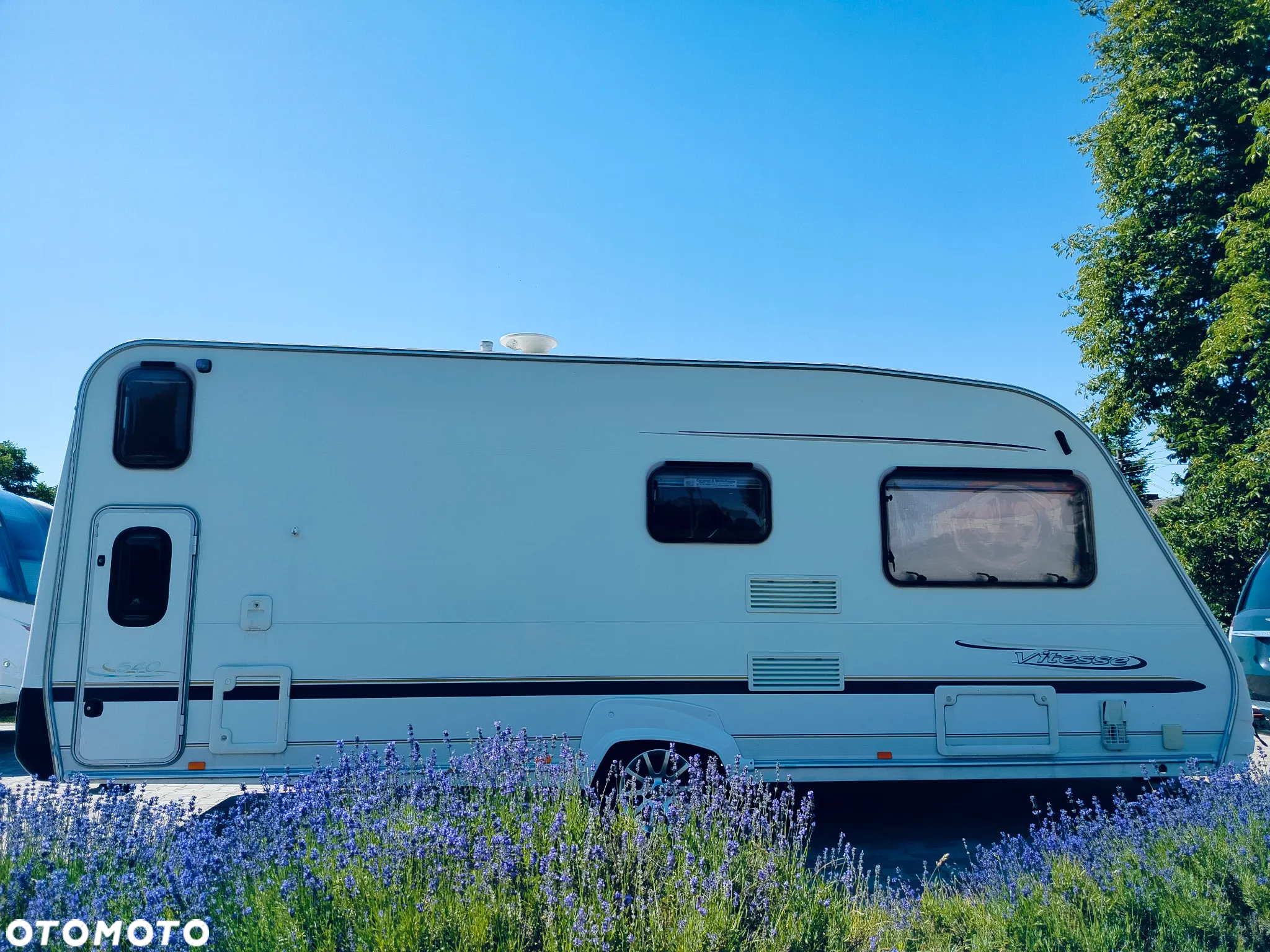 SWIFT Sterling Vitesse - 37