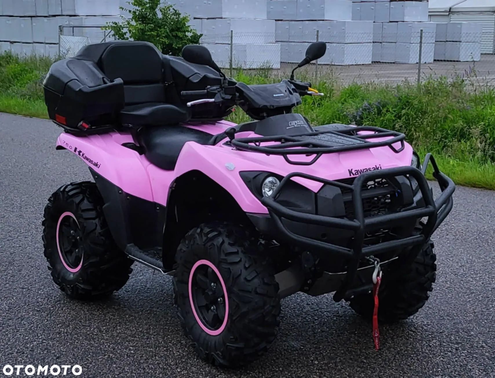 Kawasaki Brute Force