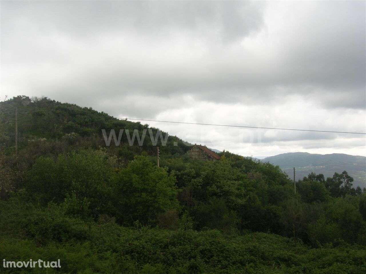 Quintinha / Marco de Canaveses, Penhalonga e Paços de Gaiolo - Grande imagem: 5/10