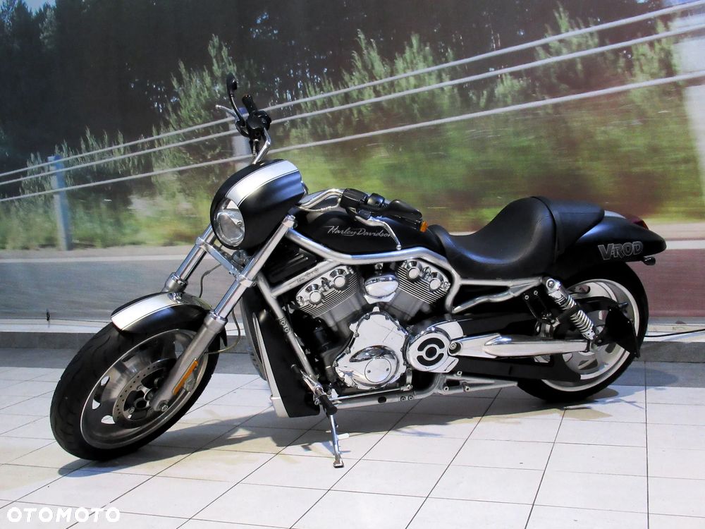 Harley-Davidson Softail V-Rod - 3