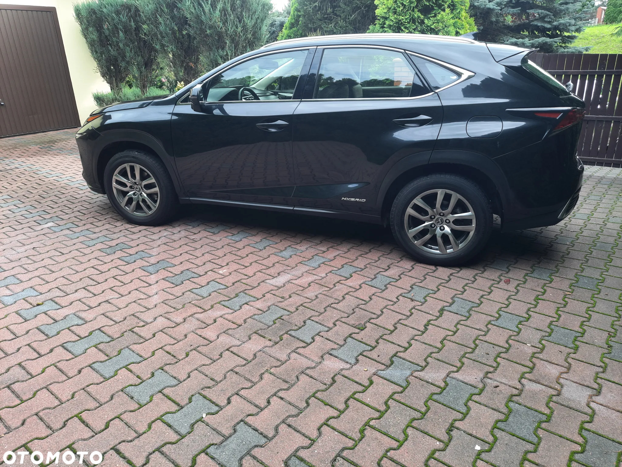 Lexus NX - 8