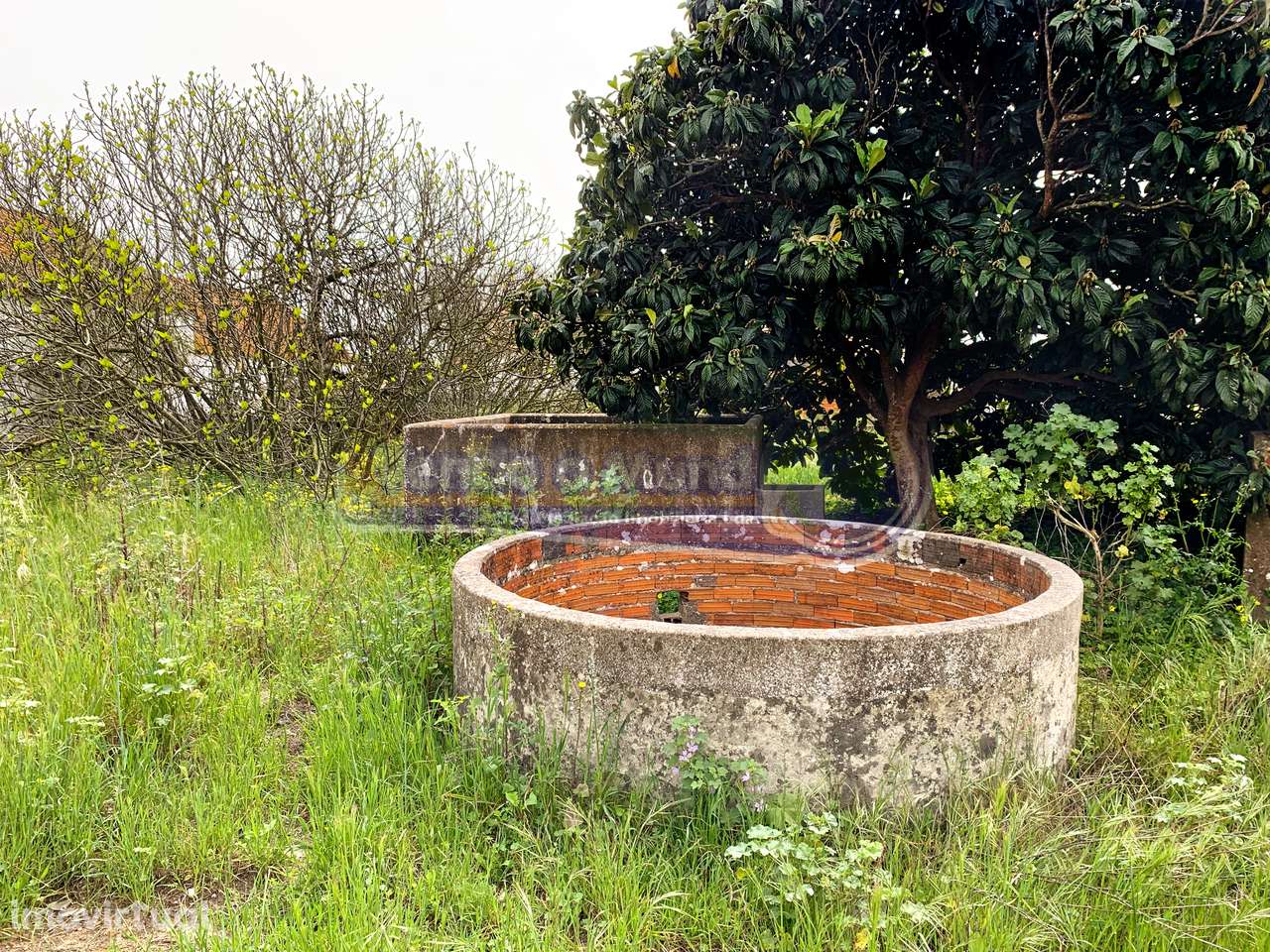 Terreno em Foros de Salvaterra (F674) - Grande imagem: 5/16