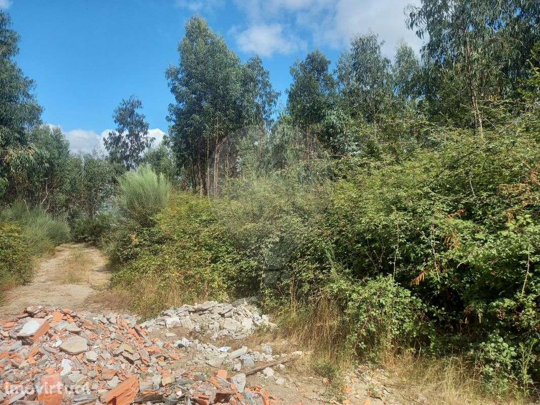 Terreno  para venda - Grande imagem: 4/11