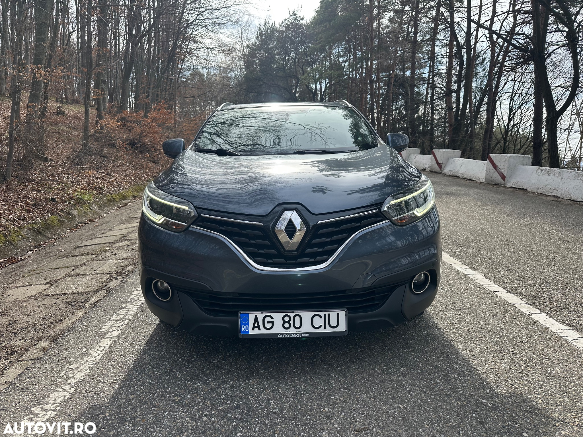 Renault Kadjar Energy dCi 110 EDC Business - 2