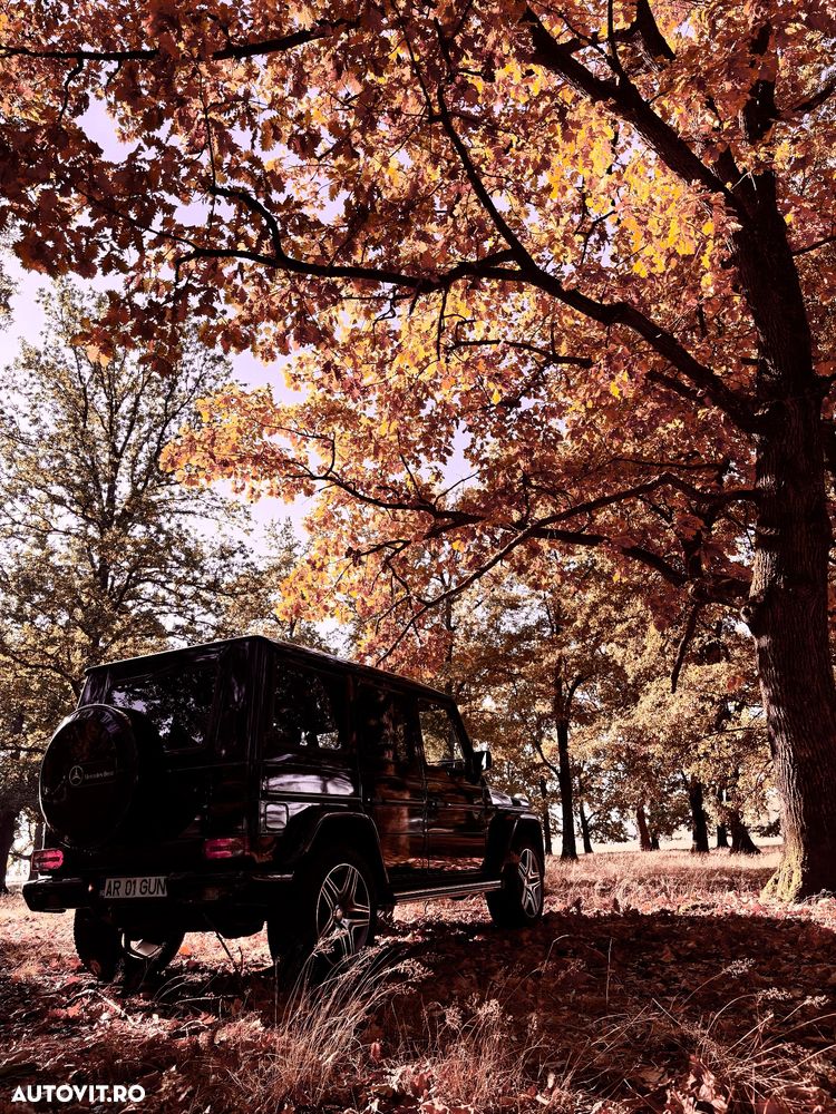 Mercedes-Benz G - 28
