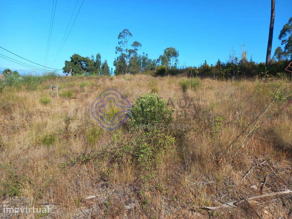 Terreno florestal com 16.000 m2 situado próximo da Barragem de Castelo - Grande imagem: 3/26