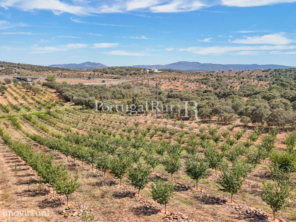 Terreno com 4ha com aptidão para construção de unidade de turismo - Grande imagem: 5/16