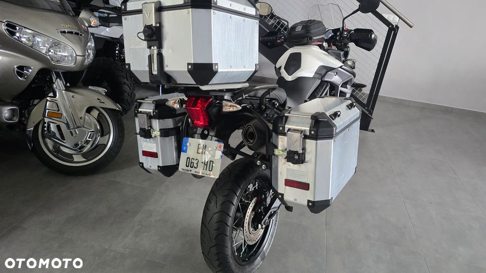 Triumph Tiger - 37
