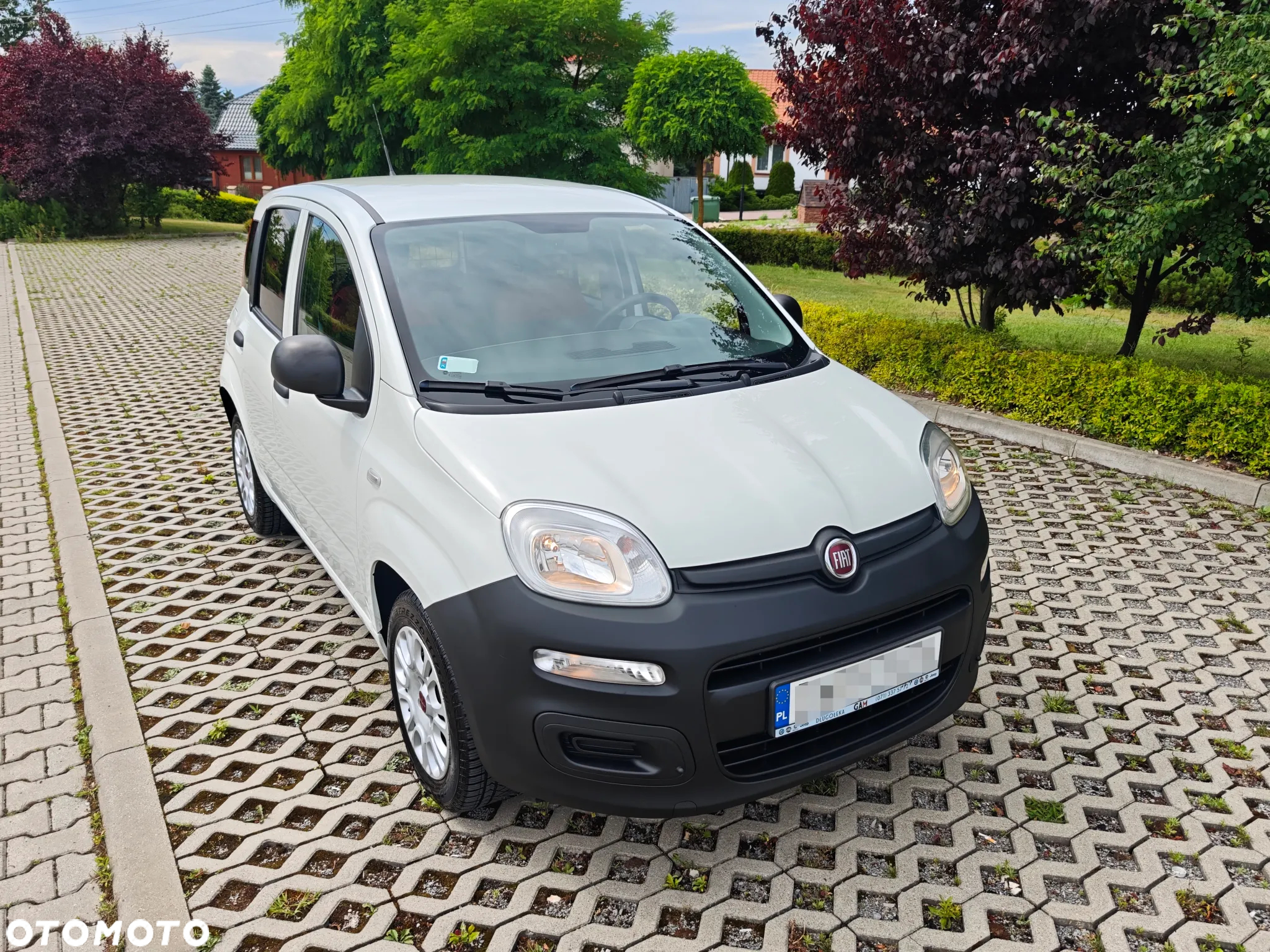 Fiat Panda - 2