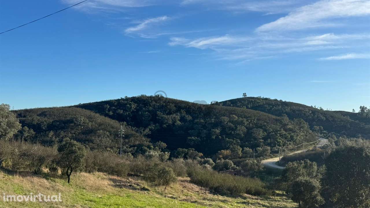 2 Moradias para recuperar em Terreno com 12000m2-Santana da Serra - Grande imagem: 3/22