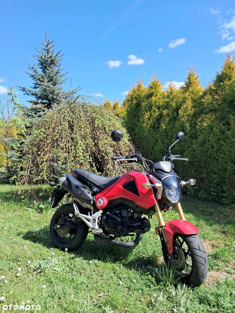 Honda MSX125 - 1