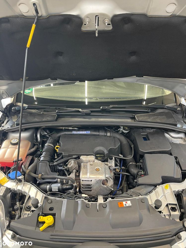 Ford Focus 1.0 EcoBoost Start-Stopp-System Champions Edition - 21
