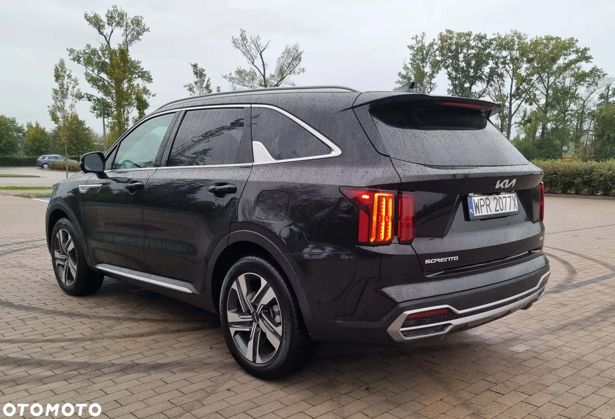Kia Sorento - 7