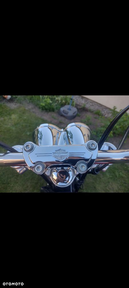 Harley-Davidson Dyna Fat Bob - 18