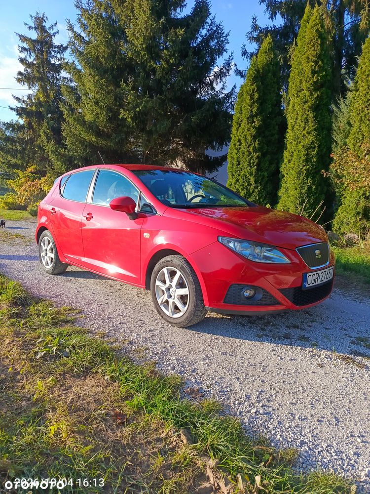 Seat Ibiza 2011 photo 4
