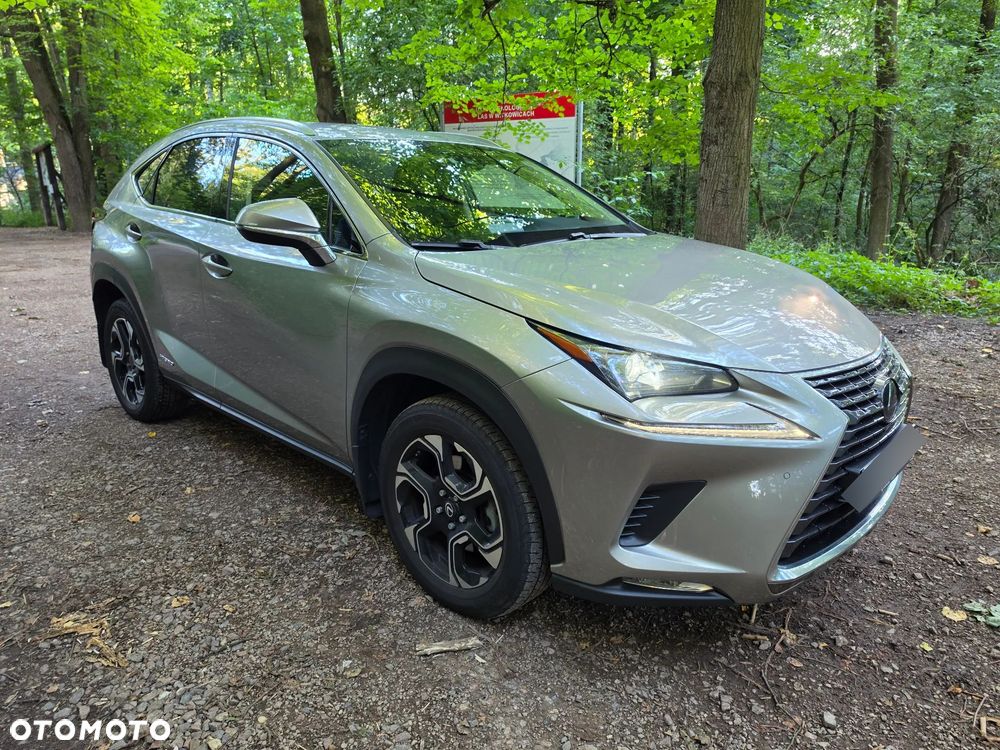 Lexus NX 300h Elegance AWD - 12