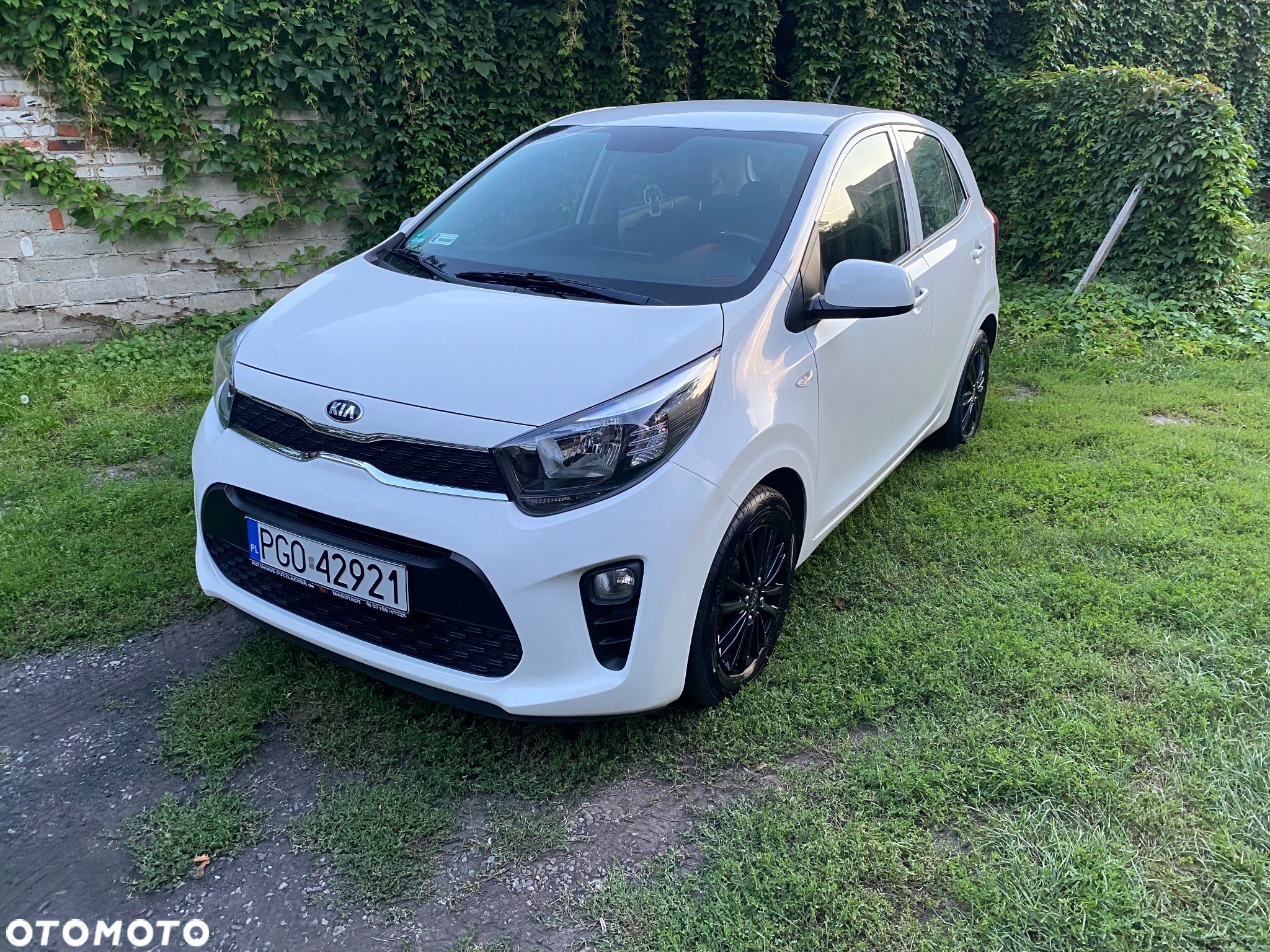 Kia Picanto - 1