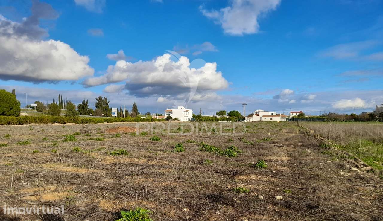 Dois terrenos rusticos com área 11400m2  na saida de Faro - Grande imagem: 5/7