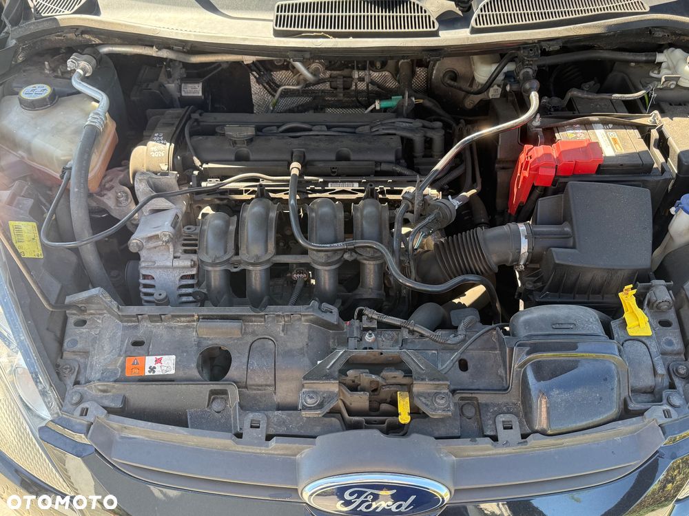 Ford Fiesta 1.25 Champions Edition - 14