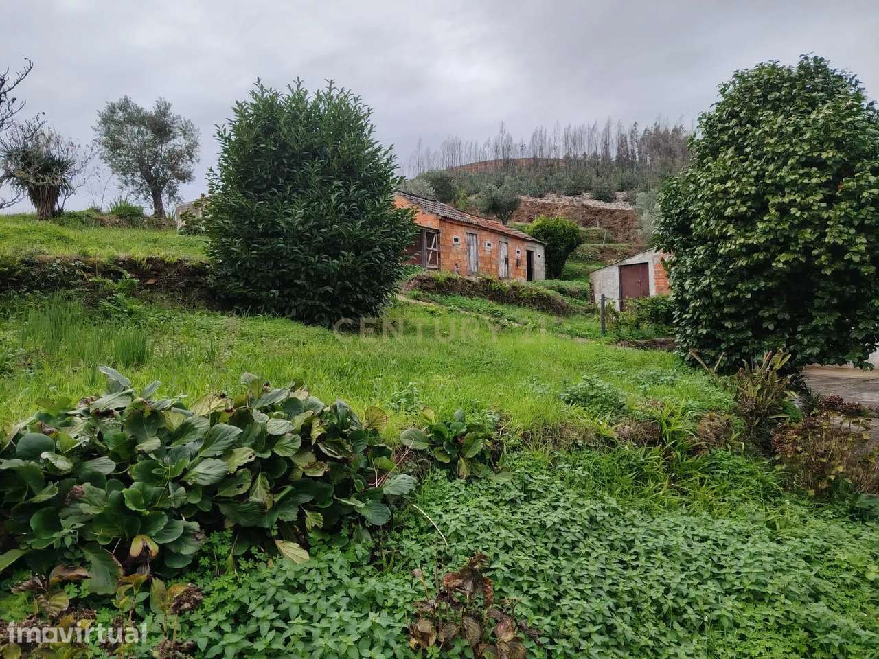 Moradia para Restauro em Sever do Vouga – Salgueirinhos - Grande imagem: 5/7
