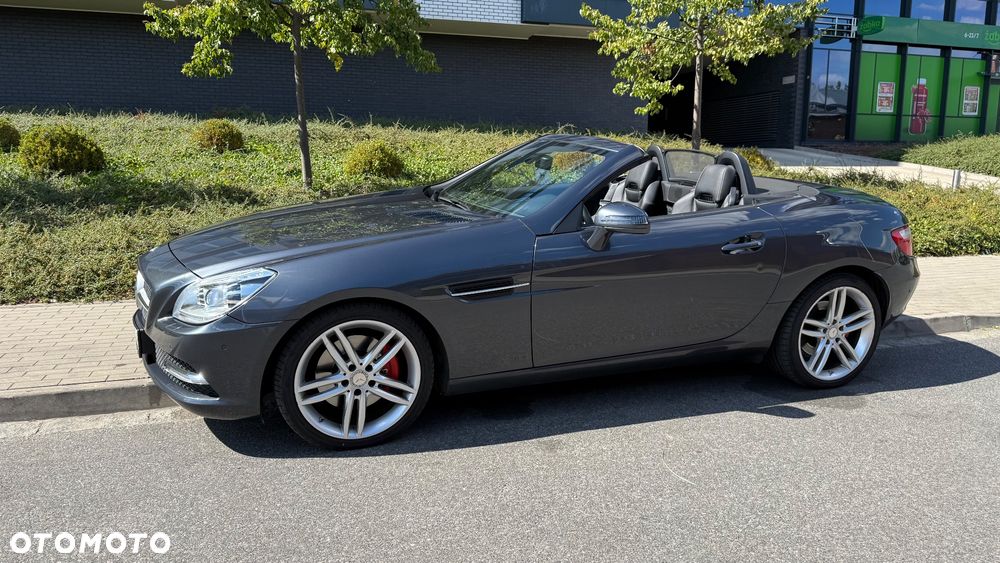 Mercedes-Benz SLK 250 CDI (BlueEFFICIENCY) 7G-TRONIC - 2