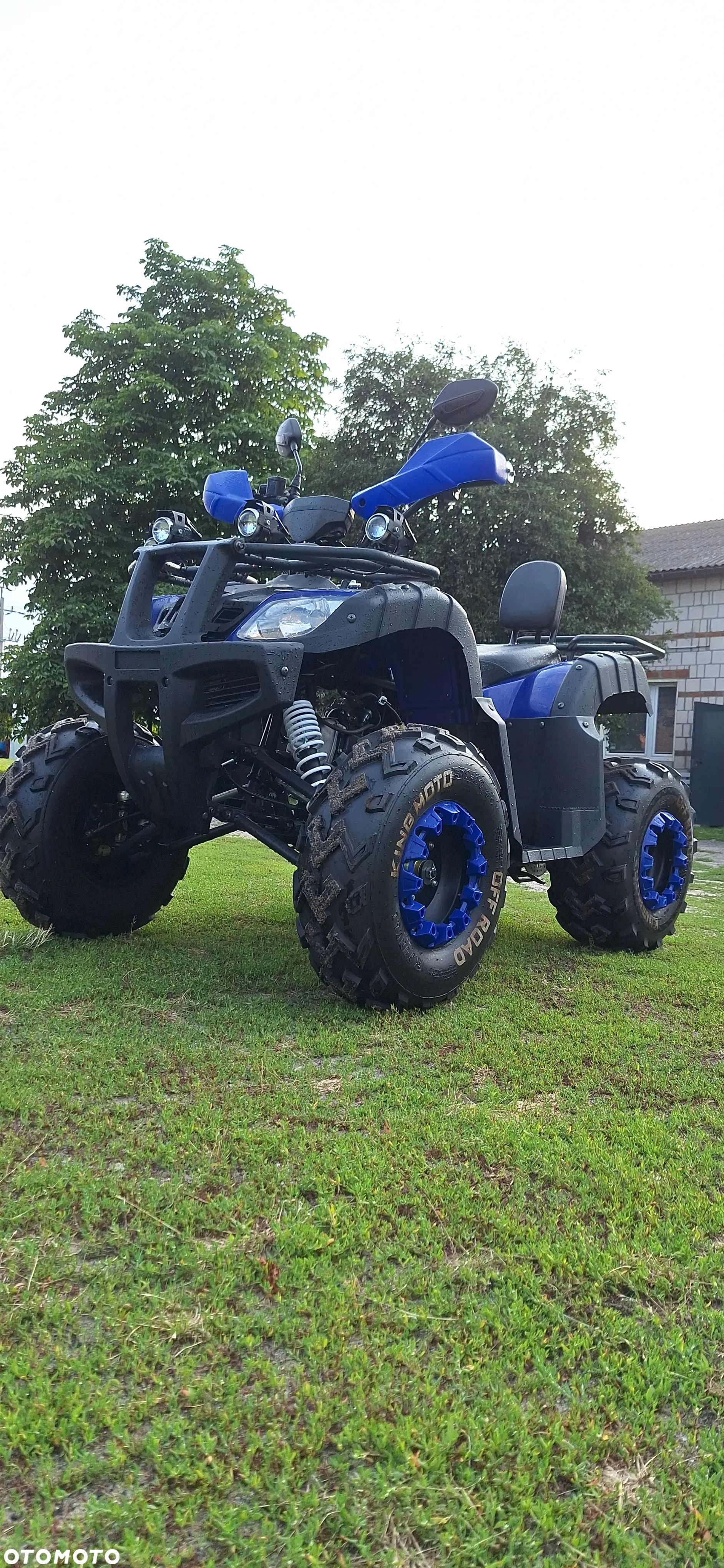 FYM FY 250