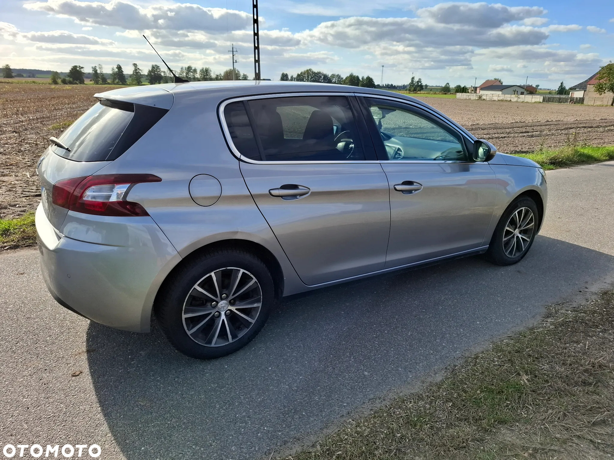 Peugeot 308 1.6 BlueHDi Active S&S - 3