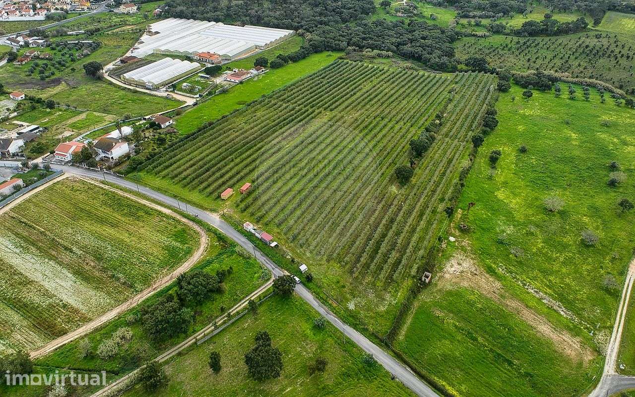 Terreno  para venda - Grande imagem: 4/31