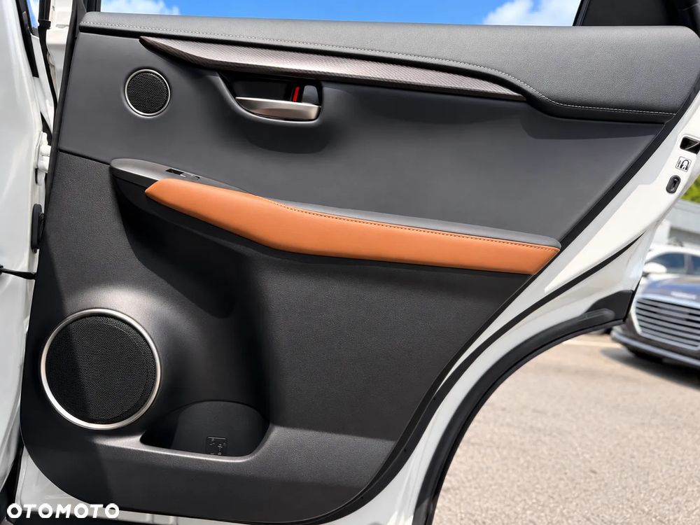 Lexus NX - 18
