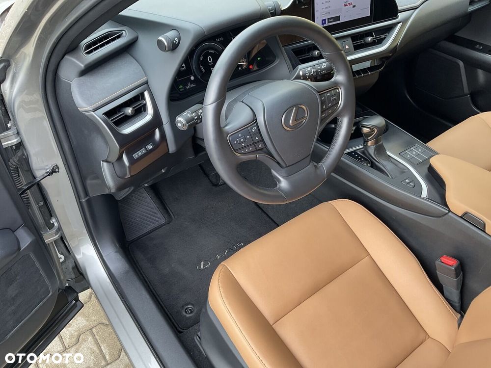 Lexus UX 250h GPF F Sport Design 2WD - 19